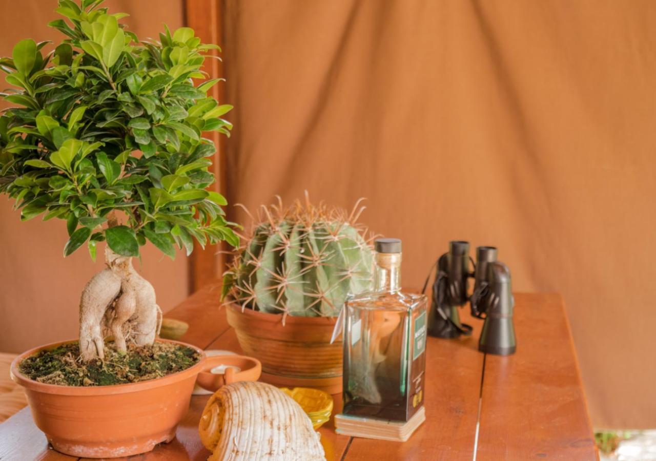Santa Cruz Country Cottage Kallithea  Ngoại thất bức ảnh