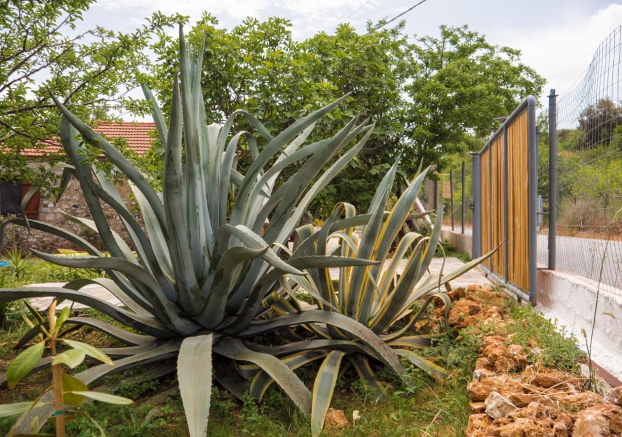 Santa Cruz Country Cottage Kallithea  Ngoại thất bức ảnh