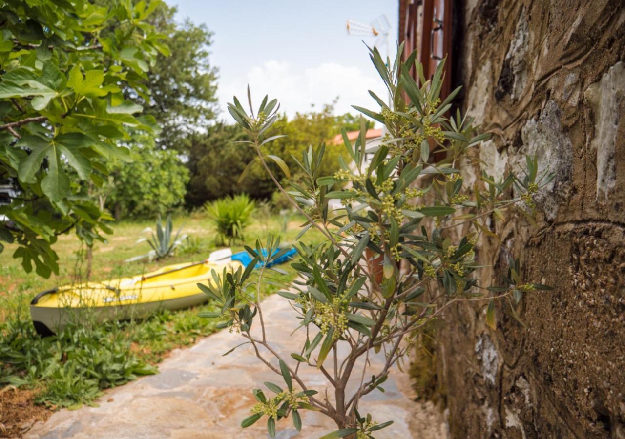 Santa Cruz Country Cottage Kallithea  Ngoại thất bức ảnh